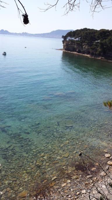 Studio 4 Pers Coeur Du Lavandou 5Mn A Pied Des Plages 勒拉旺杜 外观 照片