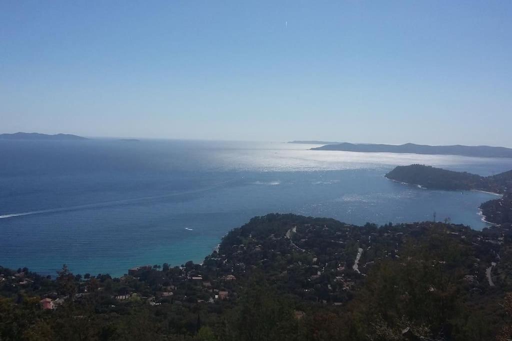 Studio 4 Pers Coeur Du Lavandou 5Mn A Pied Des Plages 勒拉旺杜 外观 照片