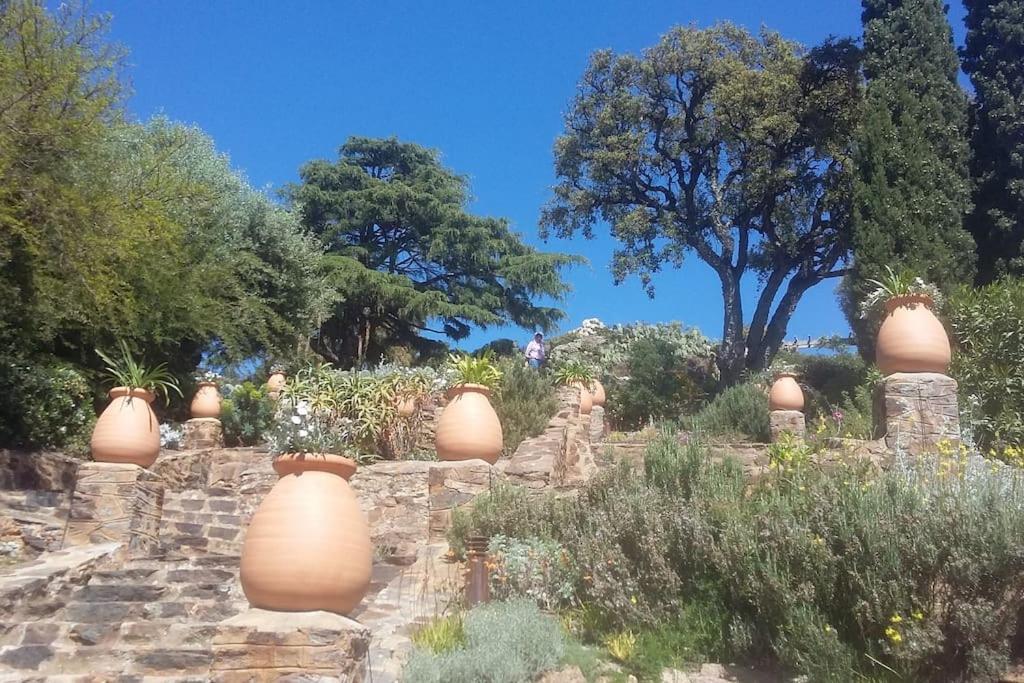 Studio 4 Pers Coeur Du Lavandou 5Mn A Pied Des Plages 勒拉旺杜 外观 照片