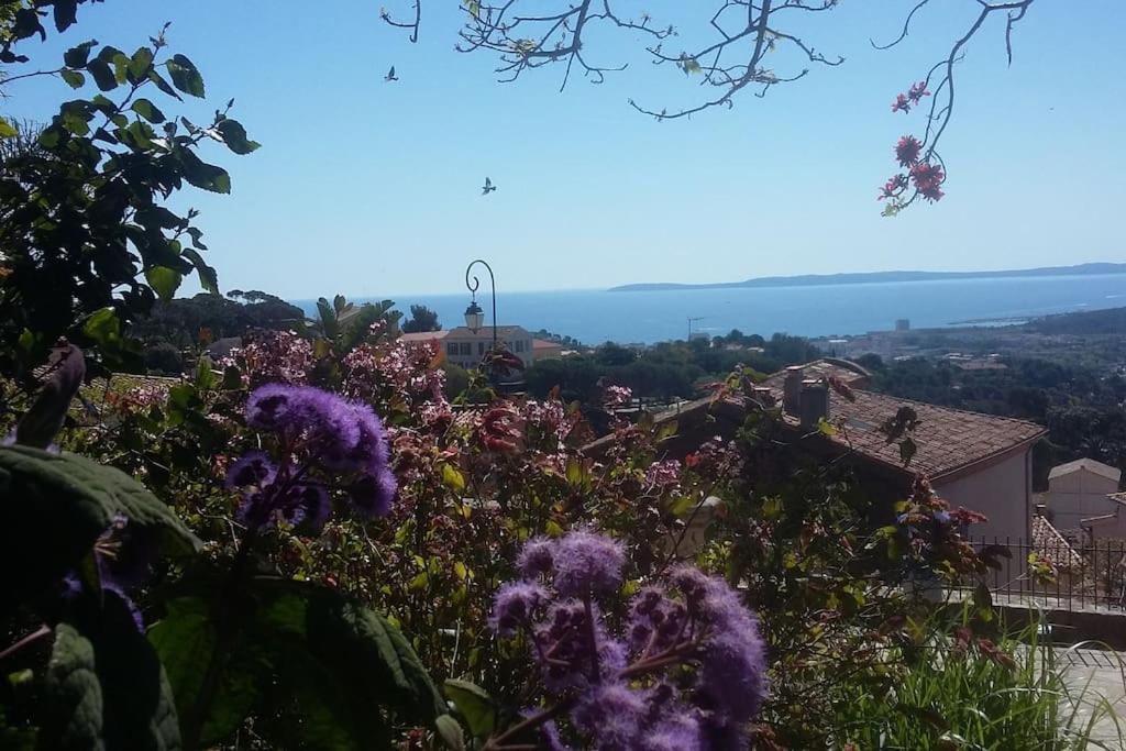 Studio 4 Pers Coeur Du Lavandou 5Mn A Pied Des Plages 勒拉旺杜 外观 照片